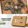 Squirrel Carving Handcraft Gift